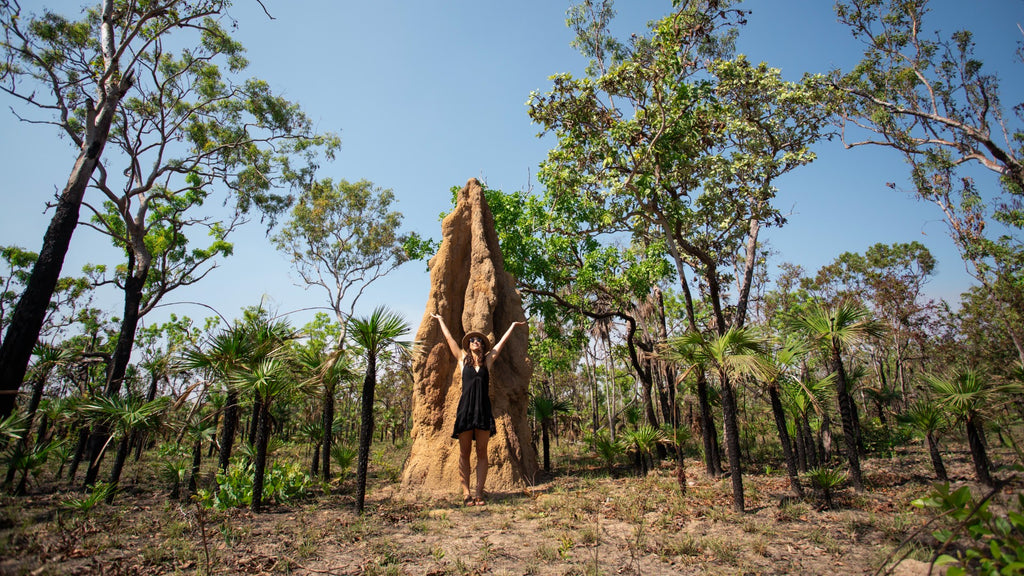 Kakadu & Litchfield: Waterfalls & Wetlands | 3-Day Camping Adventure
