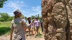 Tour guide explaining termite mound at Kakadu Litchfield Camping Adventure - 3-Day Tour. Educational stop in tropical savannah.