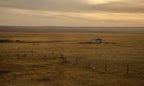 Steppe to Sand | 14-Days of Mongolian Legends, Orkhon Trails & Desert Stars