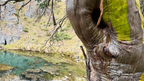 Alpine High | Mt Bimberi Summit & Blue Waterholes Caves — 4-Day Wilderness Traverse