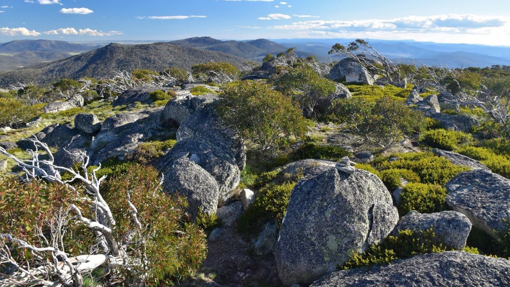 Alpine High | Mt Bimberi Summit & Blue Waterholes Caves — 4-Day Wilderness Traverse