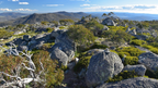 Alpine High | Mt Bimberi Summit & Blue Waterholes Caves — 4-Day Wilderness Traverse