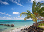 From Cenotes to Sloths: 32-Day Mexico-to-Costa Rica Traverse | Playa del Carmen → San José