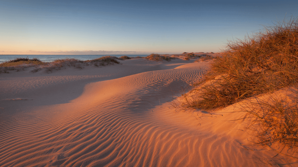 Golden sand dunes at sunset along the Ningaloo Coast, a scenic stop on the 3-Day Kayak & Snorkel Safari adventure.