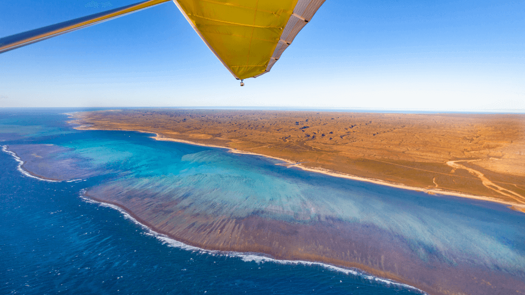 Aerial view of Ningaloo Coast from aircraft, showcasing turquoise waters and reef during the 3-Day Kayak & Snorkel Safari.
