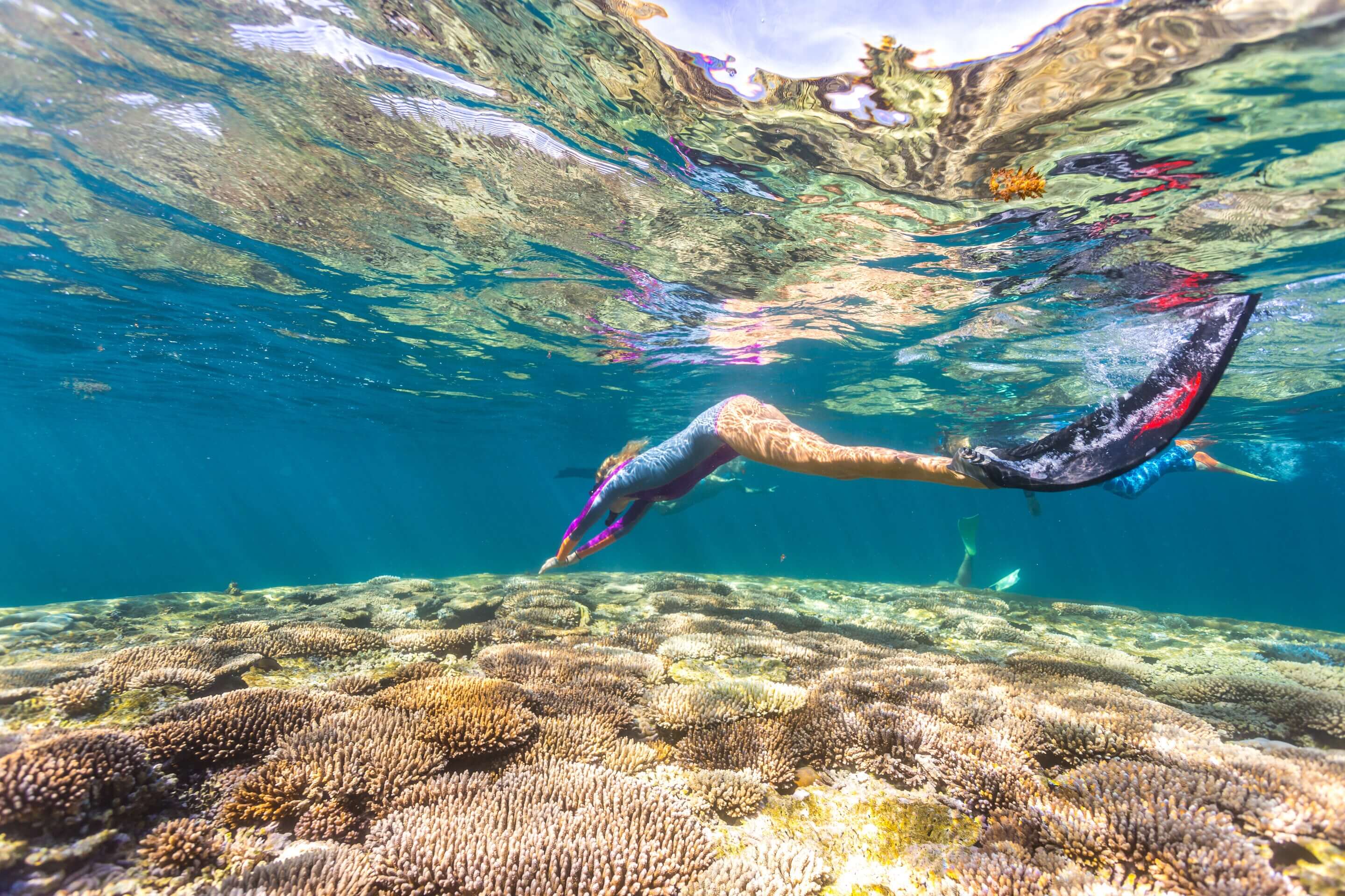 The Ultimate West Coast Road Trip | Perth → Exmouth (One-Way or Return)