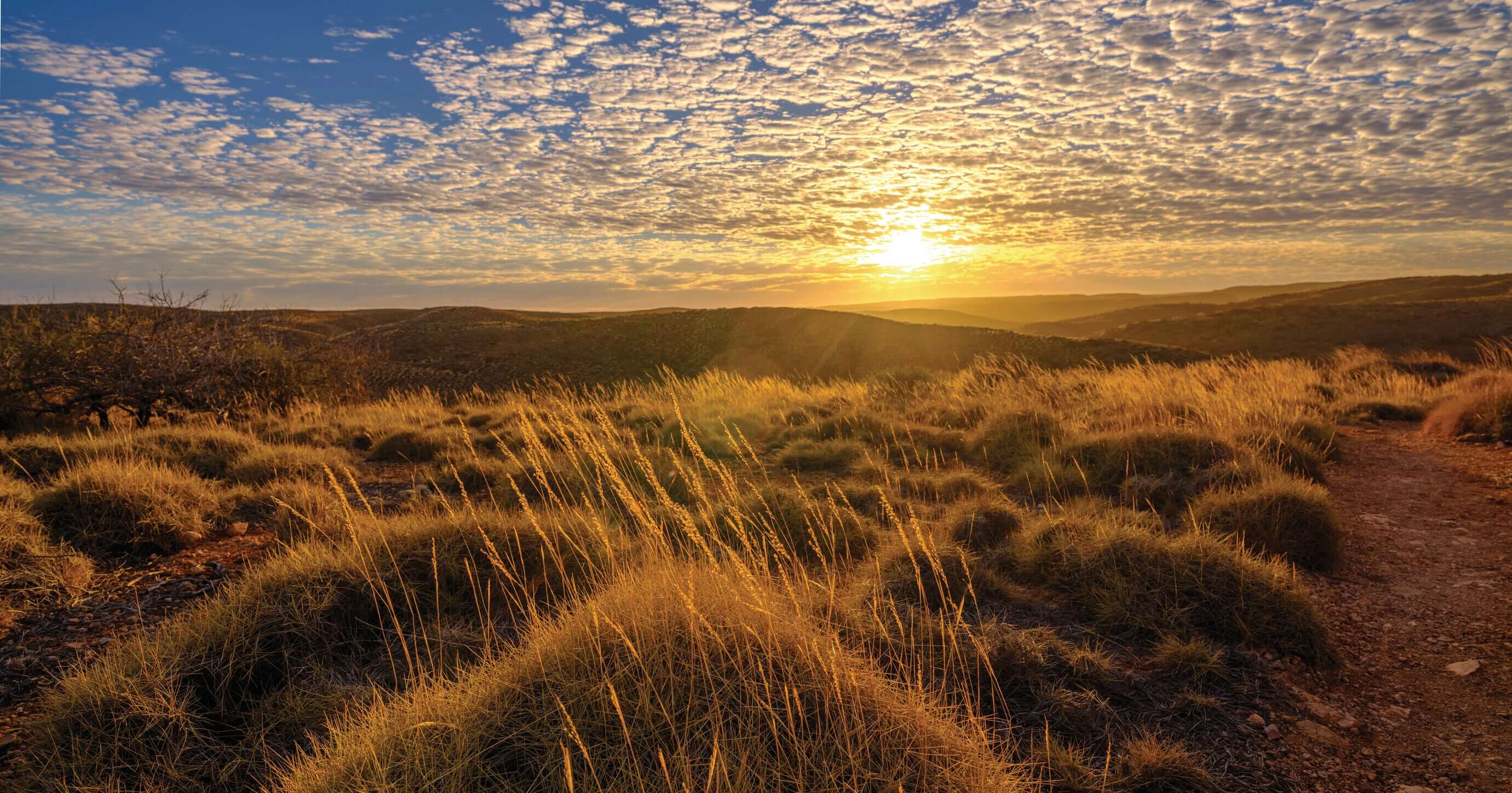 The Ultimate West Coast Road Trip | Perth → Exmouth (One-Way or Return)