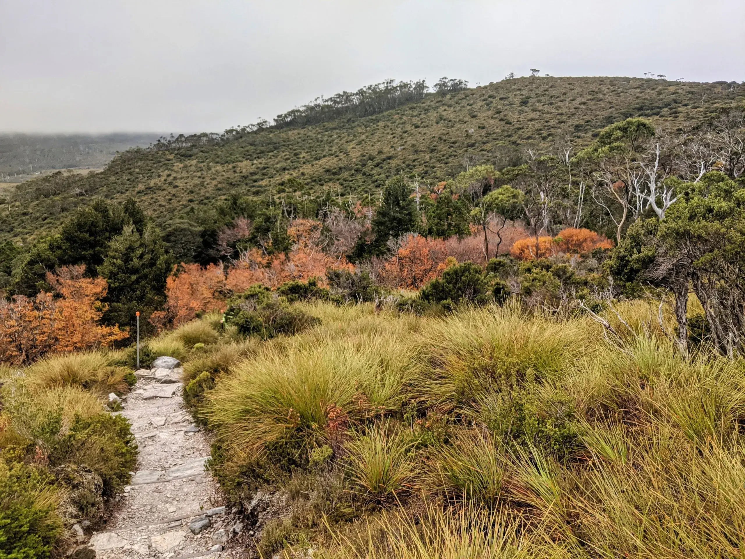 Cradle Mountain Explorer | 4-Day Guided Hike Through Tasmania’s Wild Heart