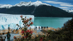 Tourists viewing glacier and turquoise waters with red flowers in foreground on Patagonia Hiking Tours - Blue Heart Adventure | 9 Days. Glacier country exploration.