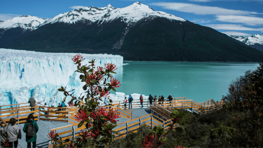 Tourists viewing glacier and turquoise waters with red flowers in foreground on Patagonia Hiking Tours - Blue Heart Adventure | 9 Days. Glacier country exploration.