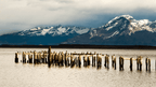 Old wooden pier with birds and snow-capped mountains in Patagonia, seen on the Blue Heart Adventure | 9 Days. Wildlife and scenic photography stop.