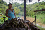 Amazon Immersion | 7-Day Homestay with Canoes, Cacao & Cascades