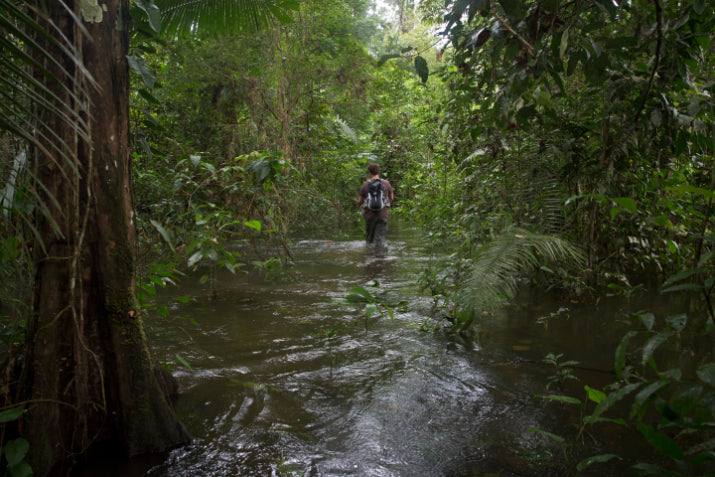 Amazon Immersion | 7-Day Homestay with Canoes, Cacao & Cascades