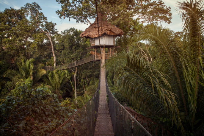 Riverboat to the Heart of the Amazon | 9 Days of Wildlife & Wild Waters