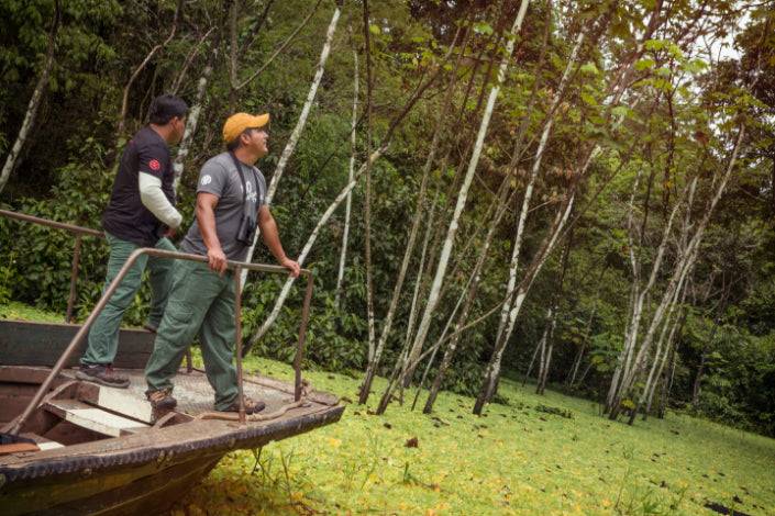 Andes to Amazon | 21 Days of Peru’s Grand Circuit & Machu Picchu by Train