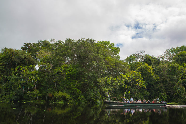 Riverboat to the Heart of the Amazon | 9 Days of Wildlife & Wild Waters