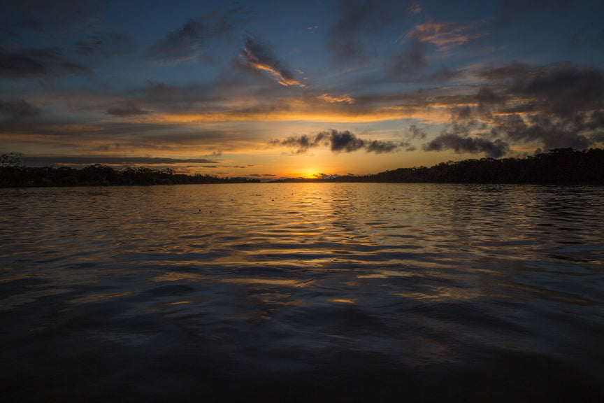 Riverboat to the Heart of the Amazon | 9 Days of Wildlife & Wild Waters