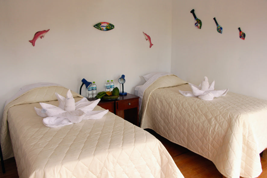 Riverboat to the Heart of the Amazon | 9 Days of Wildlife & Wild Waters