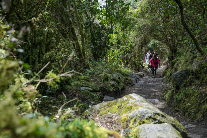 Andes to Amazon | 21 Days of Peru’s Grand Circuit & Machu Picchu by Train