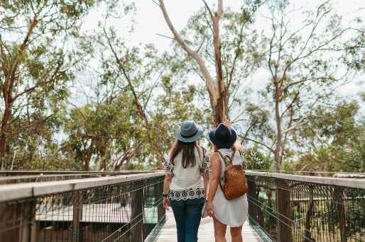 Melbourne Phillip Island Penguin Parade & Wildlife Discovery Day Tour