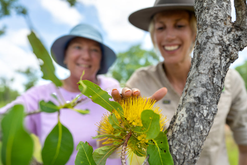 Litchfield National Park Day Tour from Darwin