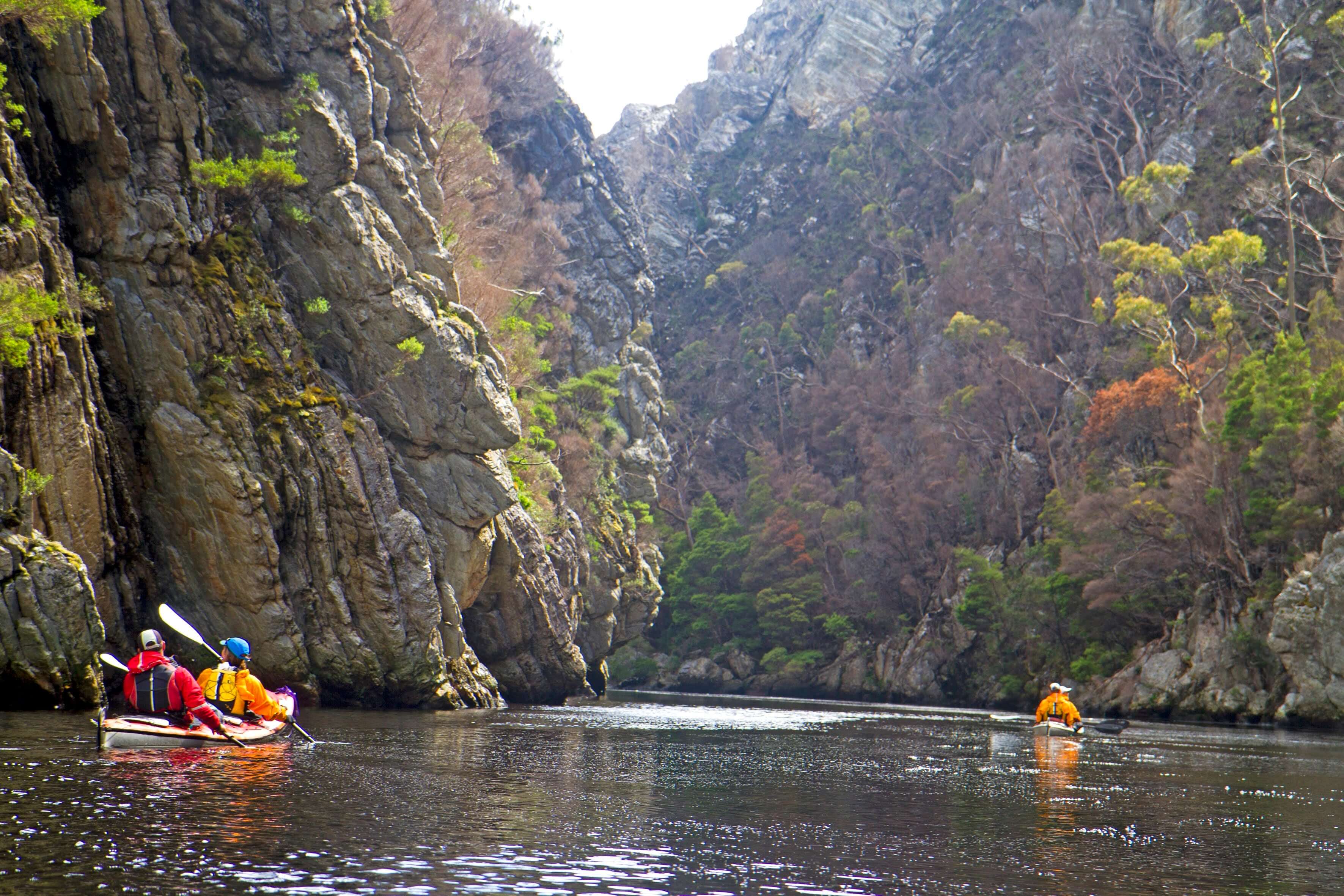 8-Day Sea Kayak Expedition | Southwest Tasmania