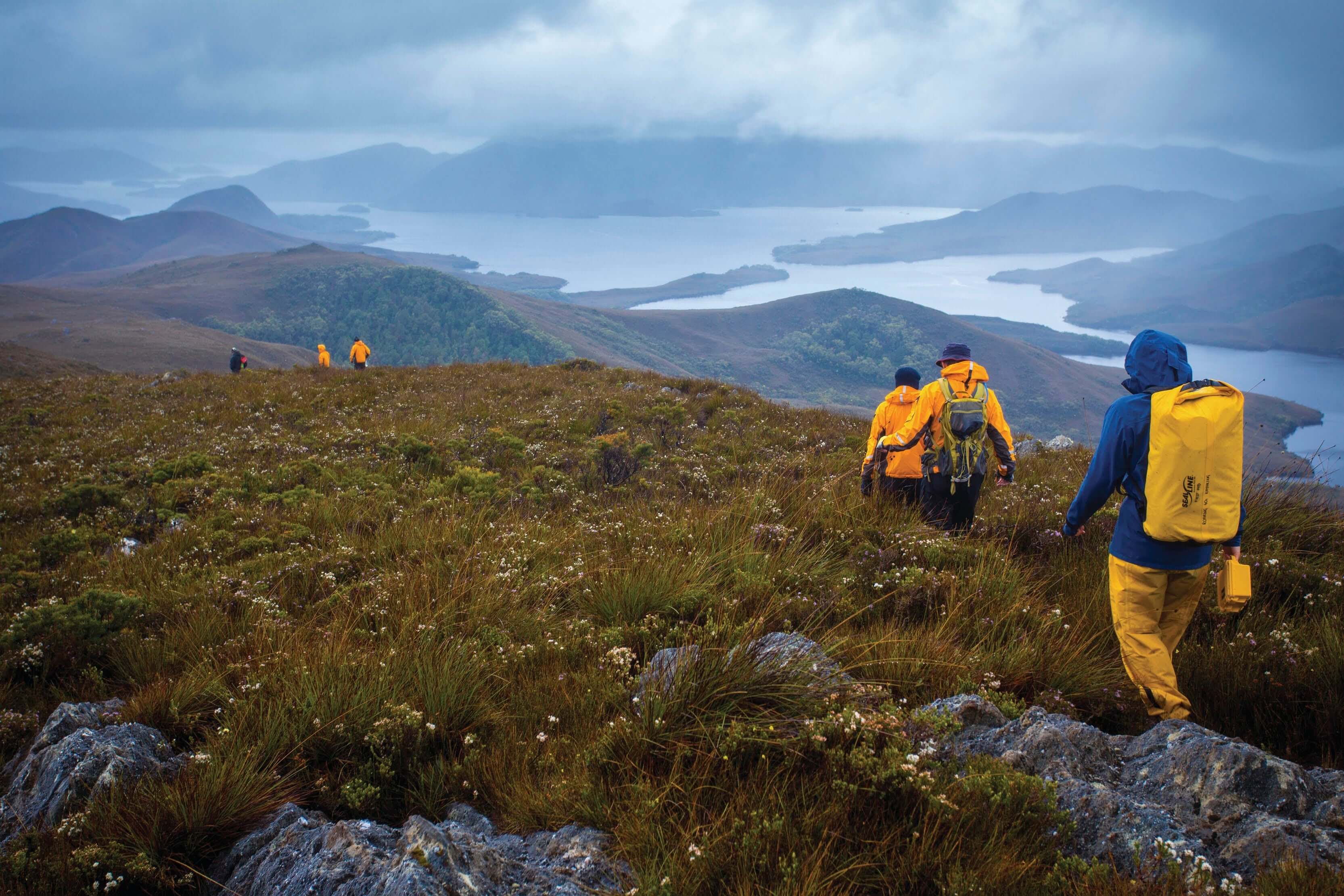 8-Day Sea Kayak Expedition | Southwest Tasmania