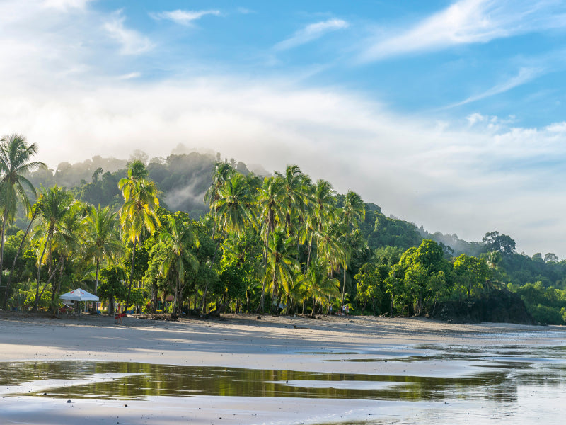 Costa Rica Explorer: Wildlife, Waterfalls & Beaches | 12-Day Group Adventure