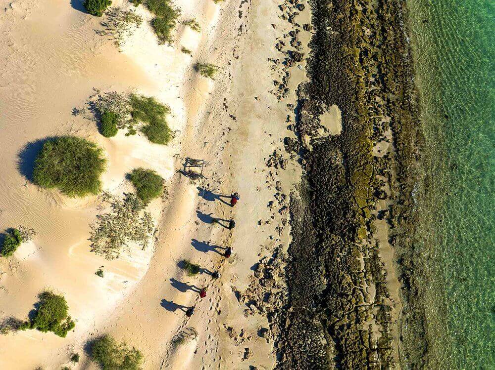Aerial view of a group hiking along the sandy shore and rocky coastline of Ningaloo, showcasing adventure and nature.