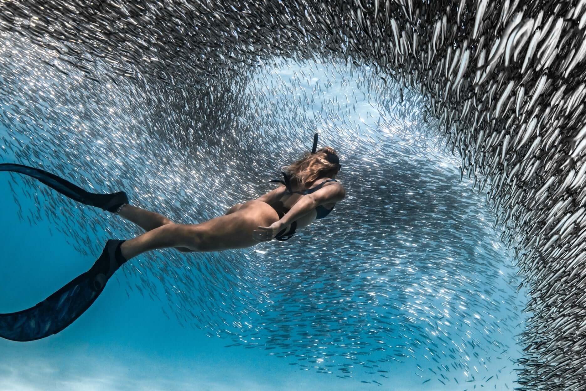 Freediver swimming through school of fish at Ningaloo Reef during West Coast Road Trip. Underwater adventure in Western Australia.