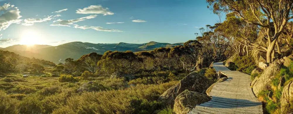 Scenic view of a mountainous landscape with a wooden path, trees, and a clear sky.