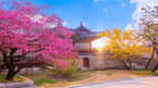 Icons of South Korea | 10/13 Days of K-Wave & Ancient Ways