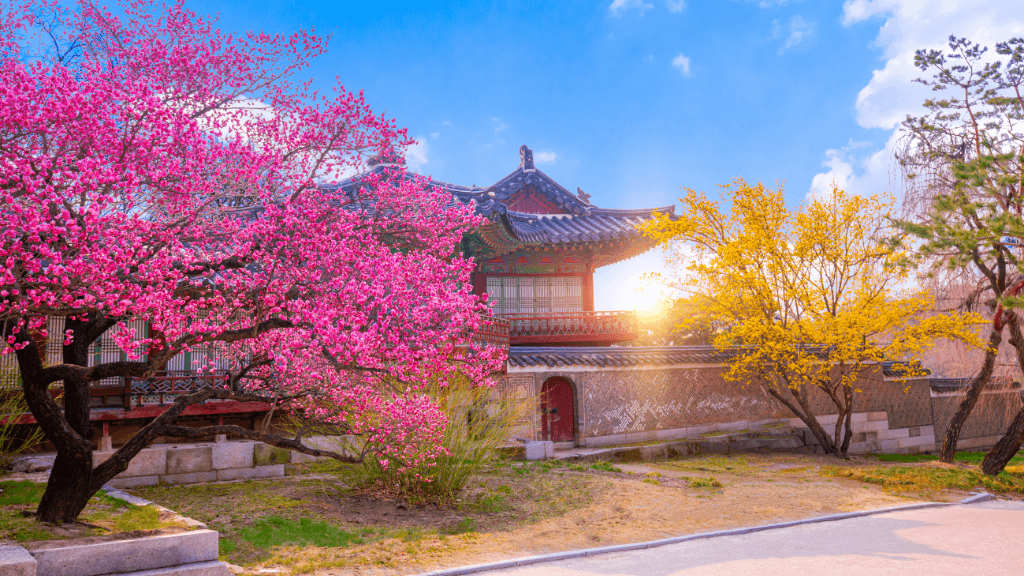 Icons of South Korea | 10/13 Days of K-Wave & Ancient Ways