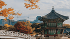 Icons of South Korea | 10/13 Days of K-Wave & Ancient Ways