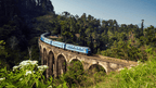 Blue train crossing Nine Arches Bridge in lush forest, a must-see on the 12-day Sri Lanka spice gardens and coast tour.