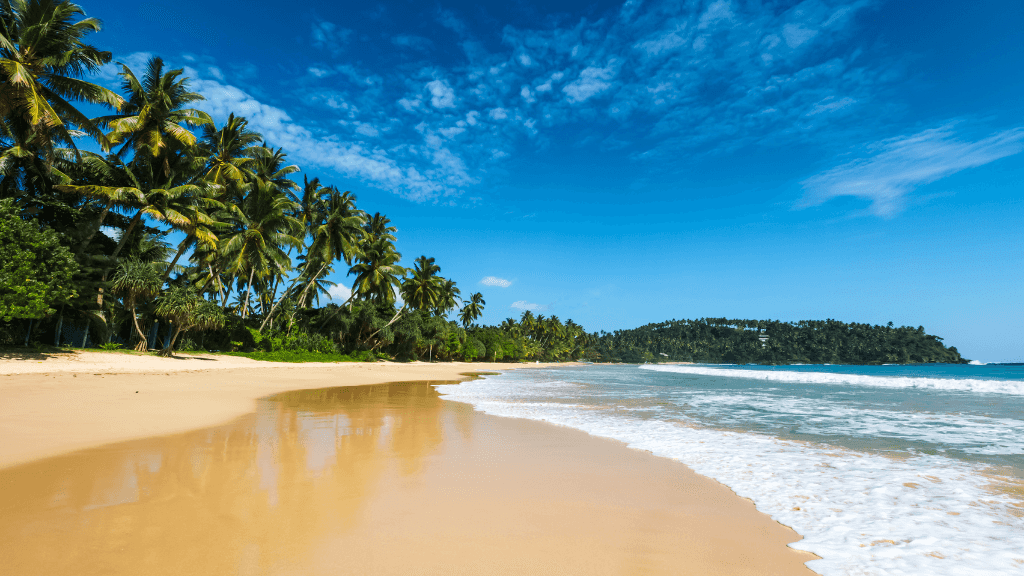 Palm-fringed tropical beach with golden sand and clear waters, featured in the 12-day Sri Lanka spice gardens and coast tour.