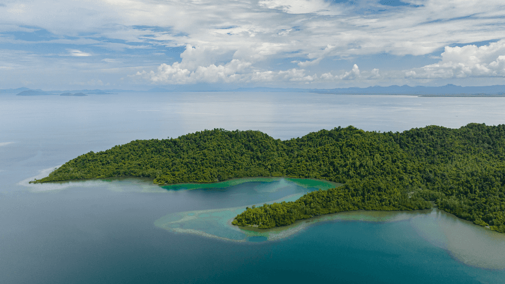 Wild Orangutan 8-Day Loop | Sumatran Jungle & River Expedition
