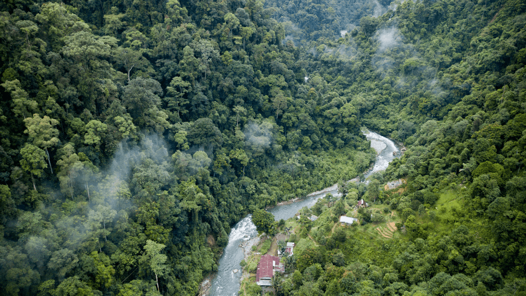 Wild Orangutan 8-Day Loop | Sumatran Jungle & River Expedition