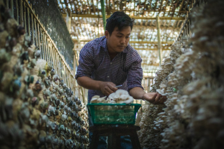 Angkor to Islands in 16-Days | Khmer Culture to Thai Coasts (Choose East or West Isles)