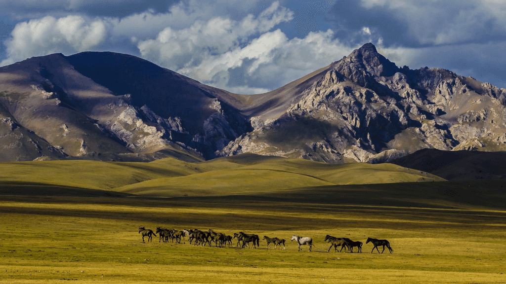 Wild horses roaming the vast steppes of Kyrgyzstan, a nomadic scene on the Silk Road Cities Tour - Central Asia Adventure.