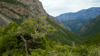 Lush green valley in the Fann Mountains, ideal for trekking during the Silk Road Cities Tour - Central Asia Adventure in Central Asia.
