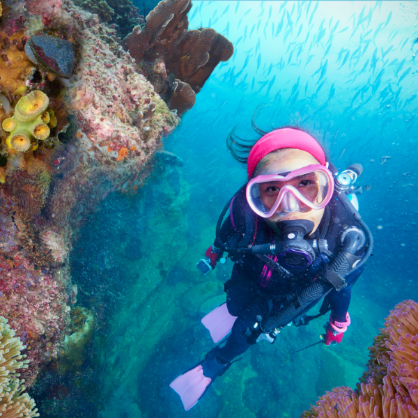 Reefs of Fire | 8 Days | Liveaboard Diving | (Sample)