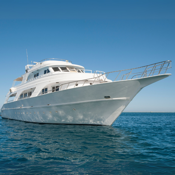 Reefs of Fire | 8 Days | Liveaboard Diving | (Sample)