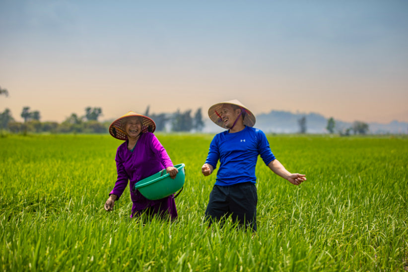 Unlock Vietnam-Cambodia: 17-Day Hanoi to Angkor & Mekong Adventure