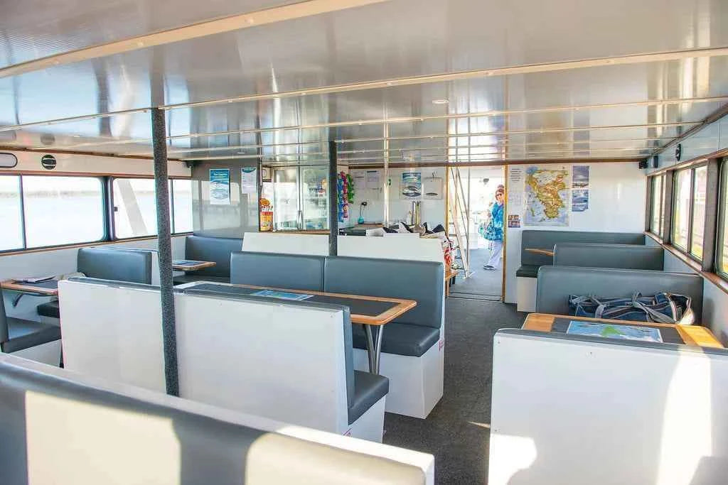 Phillip Island Dolphin & Whale Cruise from San Remo