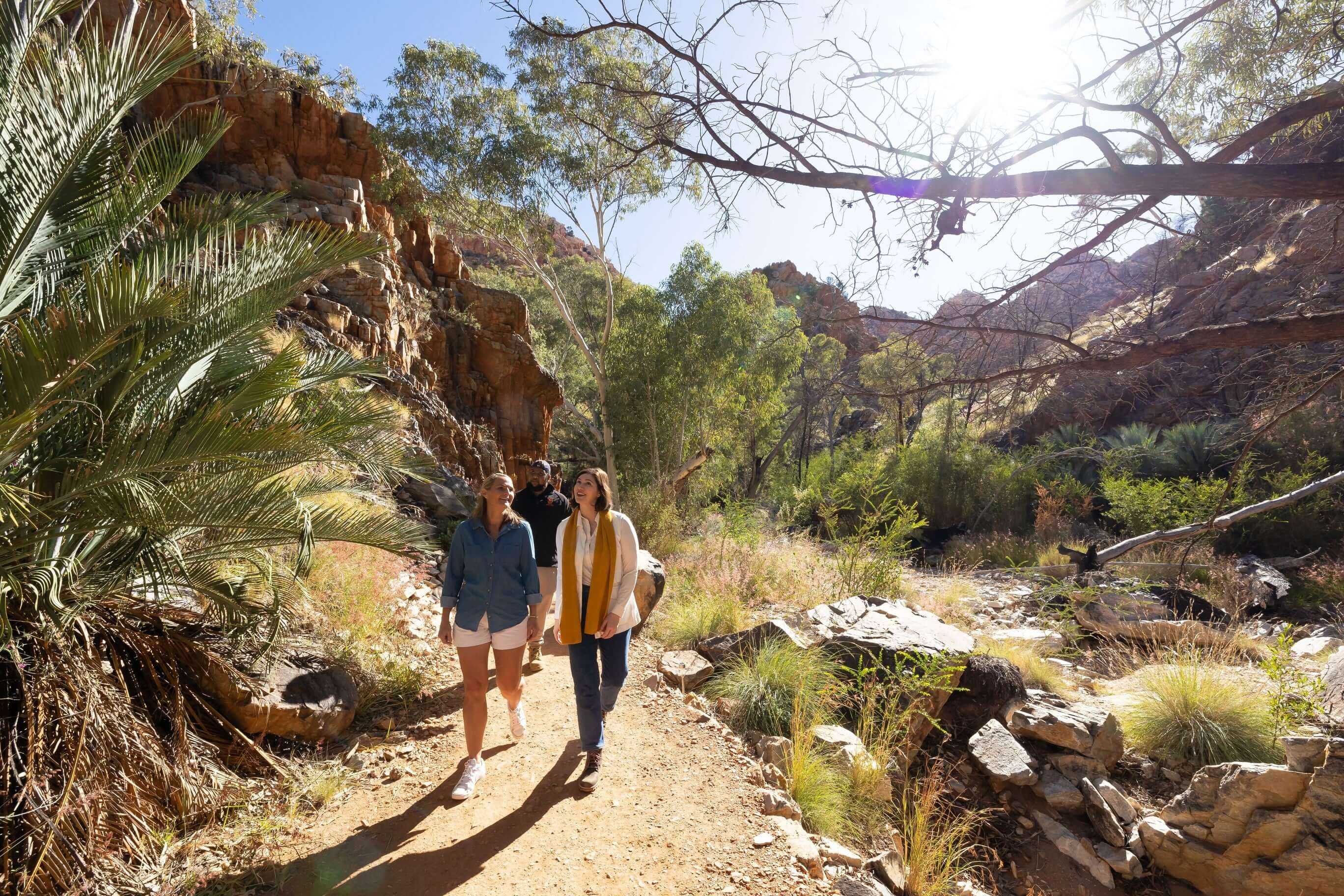 5-Day Larapinta Trail Expedition | West MacDonnell Ranges