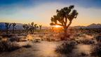 Ultimate Western USA | 9,16 or 18 Days of Parks, Peaks & Pacific