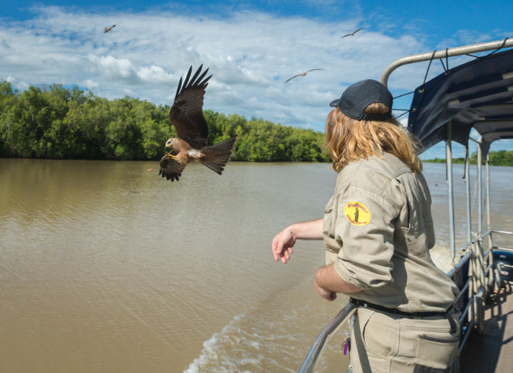 Litchfield National Park Day Tour from Darwin