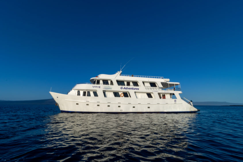 Small Ship Galápagos | 7/10 or 17-Days Island-Hoping Expedition