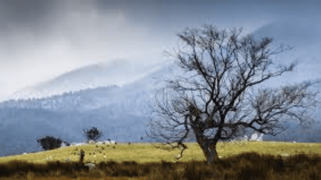 Alpine High | Mt Bimberi Summit & Blue Waterholes Caves — 4 - Day Wilderness Traverse - Zero Trace Tours